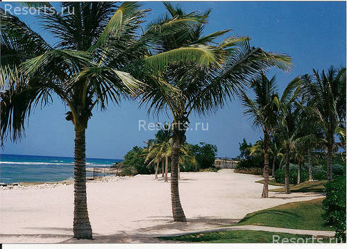 Ritz-Carlton Golf & Spa Resort 84